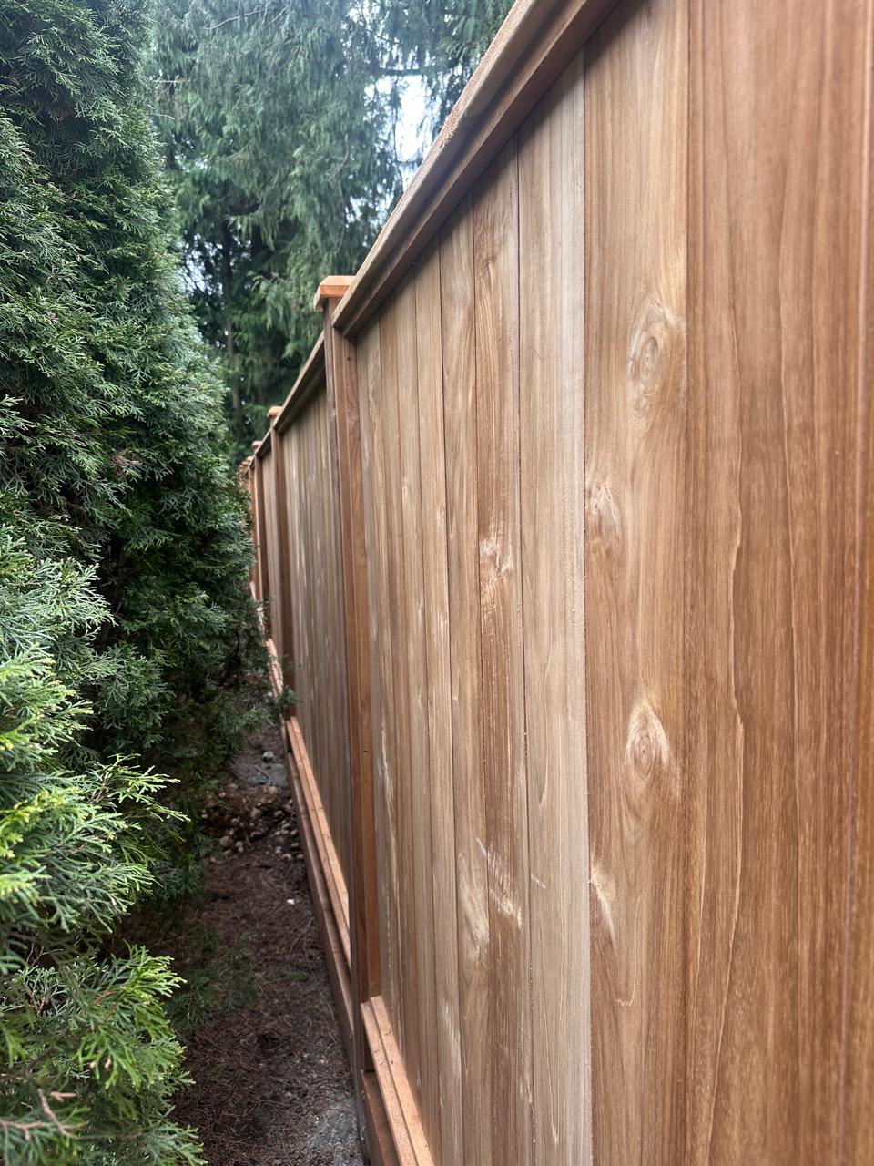 Teak Titan project gallery image eight.